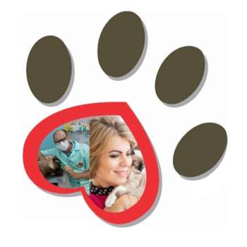 Associado: Pet Vicasa