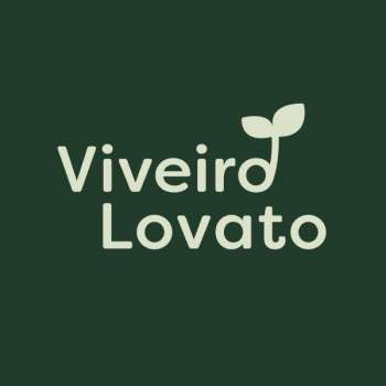 Associado: Viveiro Lovato